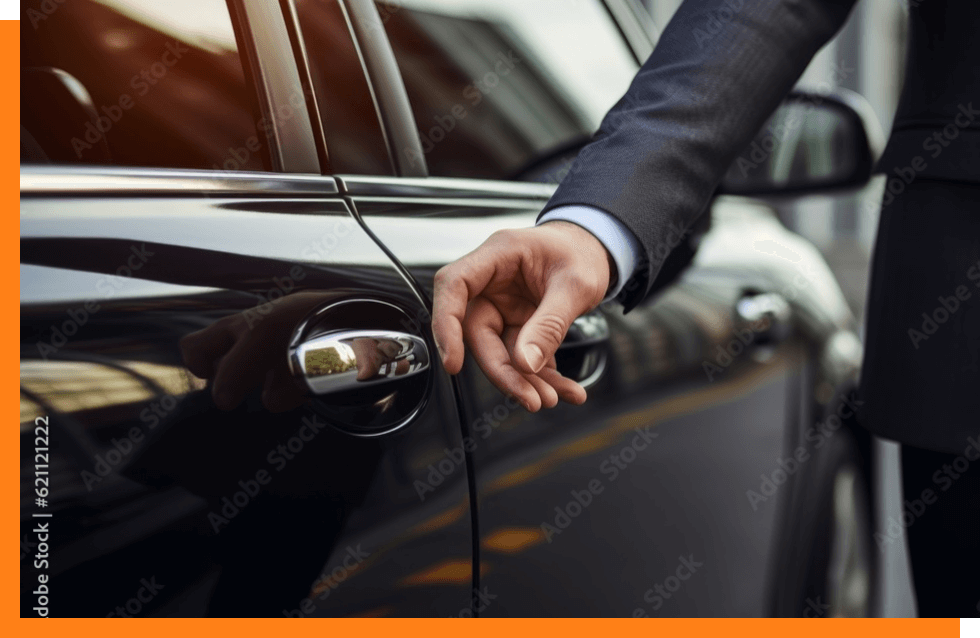 セクションの画像