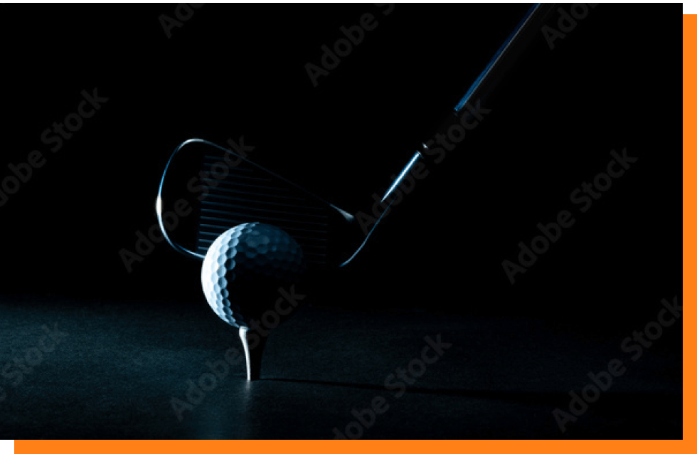 セクションの画像